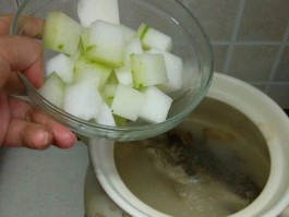 鲫鱼冬瓜汤(鲫鱼冬瓜汤的功效与禁忌)