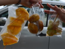 人参果遇到塑料袋会怎么样？的简单介绍