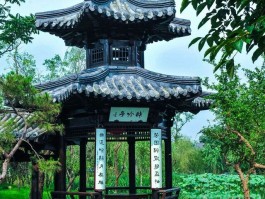 扬州乡村旅游资讯(扬州乡村旅游资讯网)