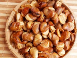 蚕豆的营养价值(蚕豆蚕豆的营养价值)