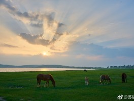 张家口沽源天鹅湖旅游小资讯(张家口沽源天鹅湖自然风景区简介)