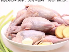 烧烤店的鹌鹑是什么品种图片(烧烤店的鹌鹑是什么品种图片大全)