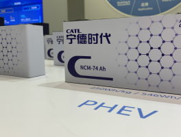 宁德时代半年报出炉，半年狂赚207亿元，动力电池在欧洲大卖，稳坐全球第一宝座，如何评价这一成绩？的简单介绍
