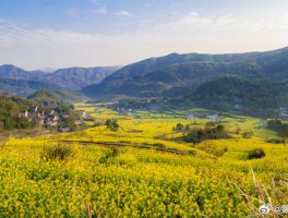 南部乡村旅游资讯(南部乡村旅游资讯最新消息)