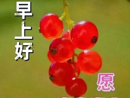旅游景点2023祝福语大全(旅游景点2023祝福语大全图片)