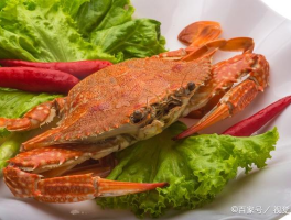 螃蟹不能和什么食物一起吃(螃蟹不能和什么食物一起吃会过敏)