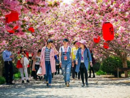 莱阳旅游资讯网(莱阳旅游景点大全排名)