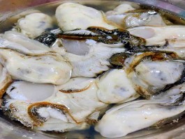 牡蛎的做法(牡蛎的做法食谱大全集)