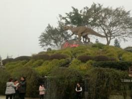 自贡旅游资讯(自贡旅游资讯网官网)