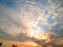 包含官方辟谣「地震云」，「没有足够科学依据证明云可以预示地震发生」，哪些信息值得关注？的词条