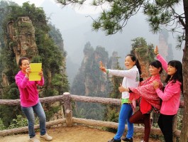 张家界旅游资讯信息(张家界旅游资讯信息网)