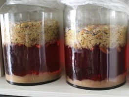 葡萄酒的制作方法(葡萄酒的制作方法 自酿视频教程)