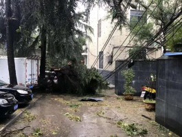 暴雨大风天气窗户、楼下出现了刮来的钱，捡了合法吗？的简单介绍