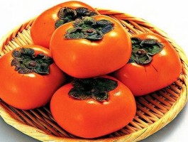 柿子不能和什么食物一起吃(柿子不能和什么食物一起吃 相克食物)