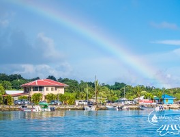 深圳帕劳旅游资讯服务有限公司(深圳帕劳旅游资讯服务有限公司怎么样)