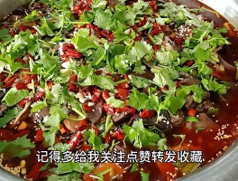 毛血旺的做法视频(毛血旺的家常做法视频教程)