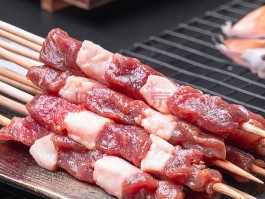 烧烤什么品种的羊肉(烧烤羊肉需要什么调料)