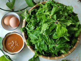 山野菜的做法(山野菜的做法大全图片)
