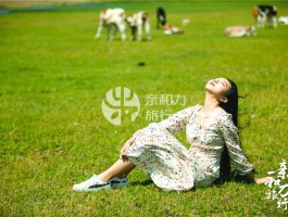 各种类型的拍照技巧图片大全集(各种类型的拍照技巧图片大全集视频)