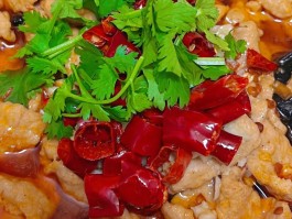 水煮肉片的做法大全(四川水煮肉片的做法大全)