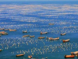 国外海洋旅游资讯(国外海洋旅游资讯官网)