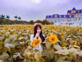 广州百万葵园(广州百万葵园地铁站)