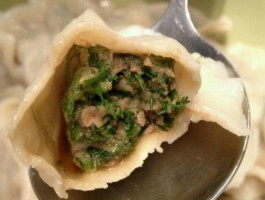 茴香饺子(茴香饺子馅怎么调好吃视频)