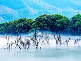 粤约旅游资讯(粤游玩小程序在哪里预约)