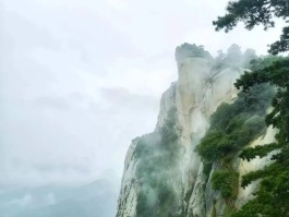 华山旅游资讯微信公众号(华山旅游服务平台微信公众号)