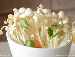 金针菇的营养价值(金针菇的营养价值高吗)