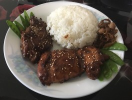 照烧鸡腿饭的做法(照烧鸡腿饭的做法窍门)