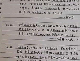 高中字迹整洁很重要吗？(高中字写得很丑,还能补救吗)