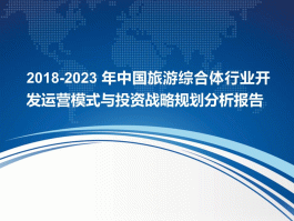 包含2023年的旅游市场分析怎么写好一点的词条