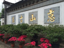 12月份无锡旅游资讯(12月份去无锡旅游有哪些景点)