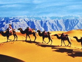 旅游资讯网信息(旅游资讯网站有哪些)