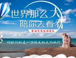 旅游包车最新资讯(旅游包车是怎么样的)
