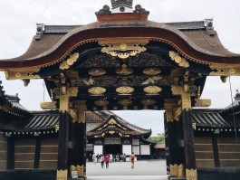 大阪京都旅游资讯(京都大阪是一个地方吗)