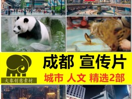 旅游视频资讯(国内旅游视频素材)