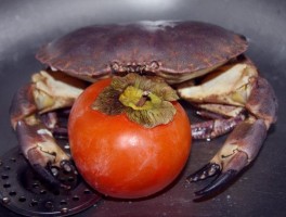 螃蟹食物相克表(螃蟹食物相克表中午吃了羊肉晚上能吃大螃蟹吗)