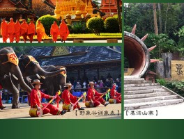 景洪市旅游资讯网(景洪市旅游景点图片)