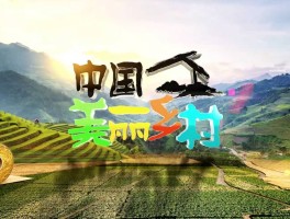 旅游资讯类(旅游资讯类特点)