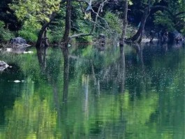 八月份有哪些人少、不热的地方值得去旅游？(8月份天气不热的地方)