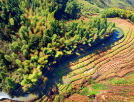 闽北旅游资讯(闽北旅游资讯app)