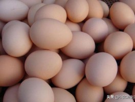 如何辨别人造鸡蛋(如何辨别人造鸡蛋和真鸡蛋)