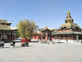 通辽市旅游资讯网(通辽旅游局电话号码)