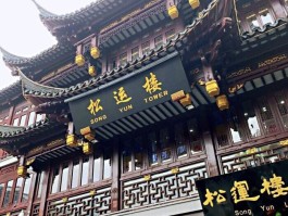 上海最新的旅游资讯(上海最新的旅游资讯报道)