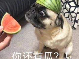 娱乐吃瓜君的消息准确吗的简单介绍