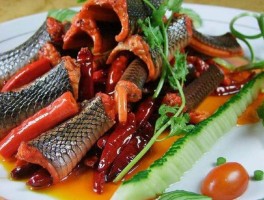 蛇肉的做法(蛇肉的做法大全)