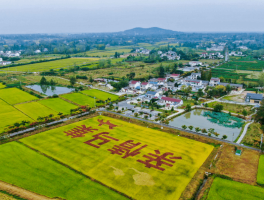 扬州乡村旅游资讯(扬州乡村旅游资讯官网)