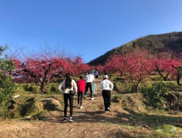 信丰县旅游资讯(信丰县旅游资讯网官网)